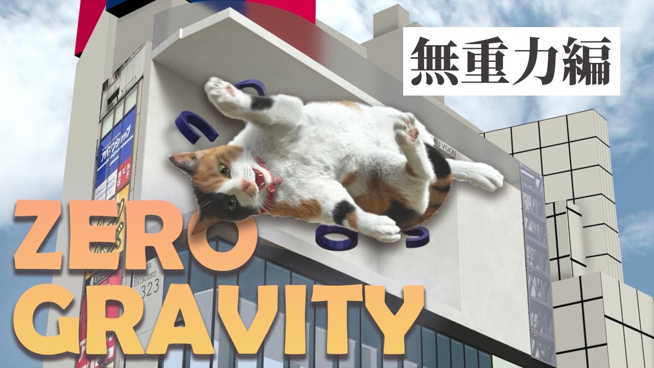 新宿東口の猫『無重力編』（SHORT FILMSシリーズ②）