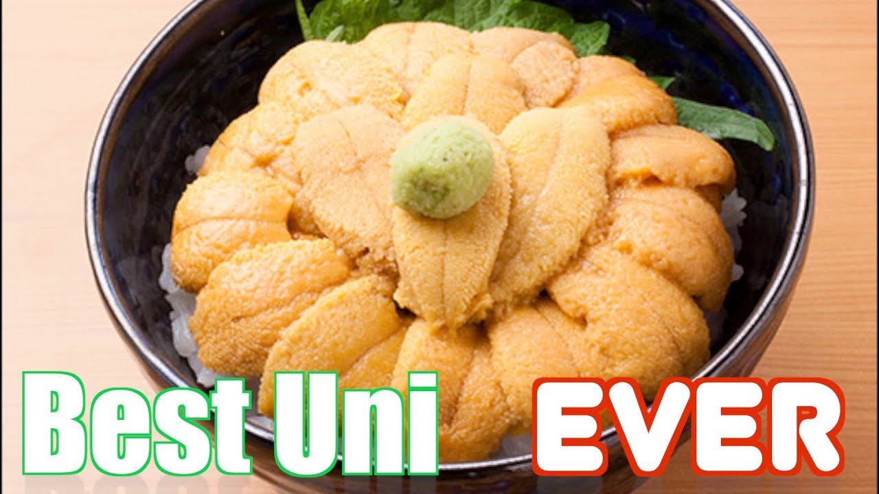 Mind-blowing Sea Urchin  - Uni Murakami Hakodate Hokkaido Japan うにむらかみ函館本店