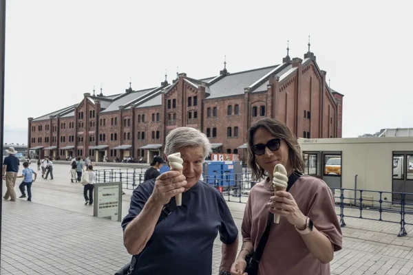 Creamy Ice Cream from Milk Marche