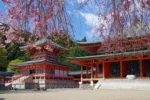 Enryaku-ji