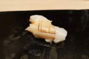 Clam