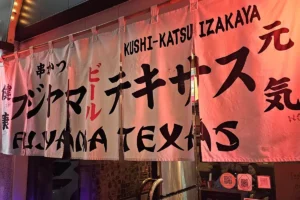 Fujiyama Texas