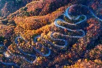 Iroha-zaka iStock