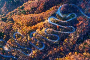 Iroha-zaka iStock