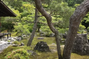 Moss Garden