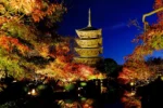 To-ji Kyoto